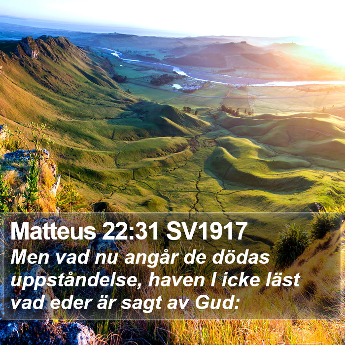 Matteus 22:31 SV1917 Bible Study