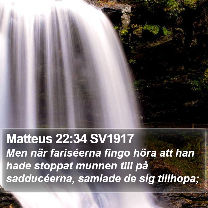 Matteus 22:34 SV1917 Bible Study