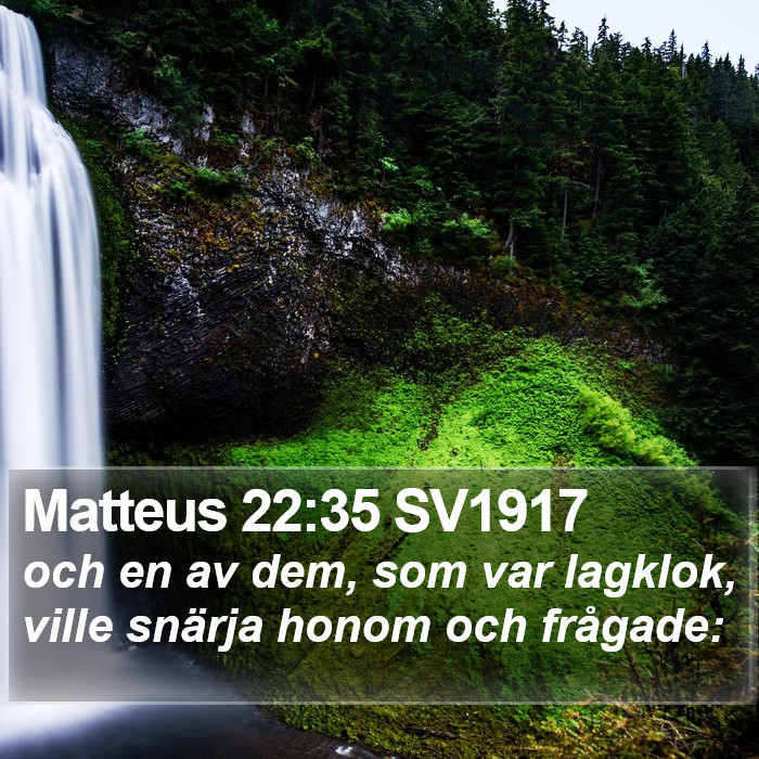 Matteus 22:35 SV1917 Bible Study
