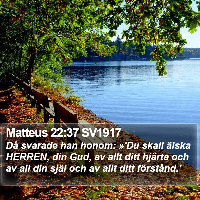 Matteus 22:37 SV1917 Bible Study