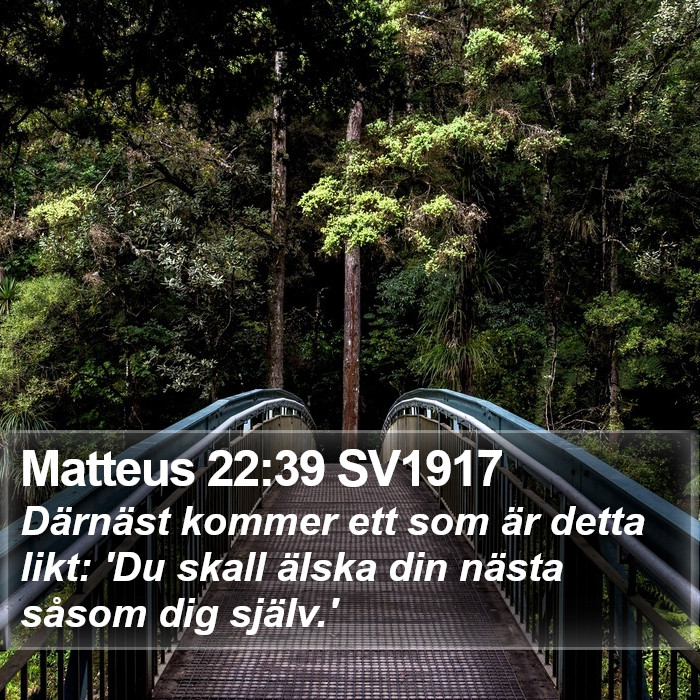 Matteus 22:39 SV1917 Bible Study