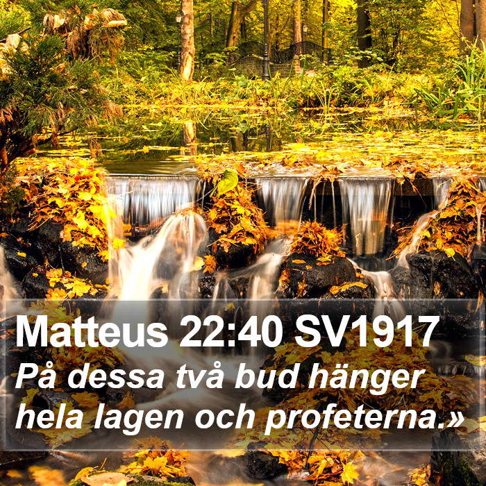 Matteus 22:40 SV1917 Bible Study