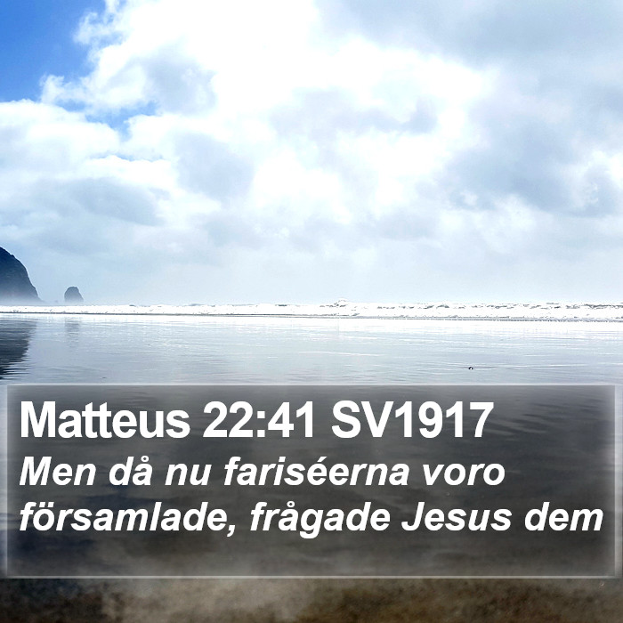 Matteus 22:41 SV1917 Bible Study