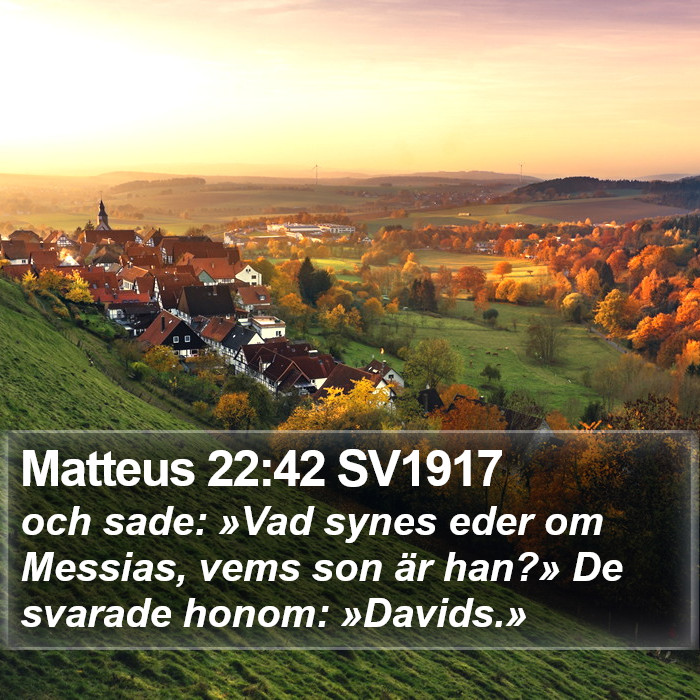 Matteus 22:42 SV1917 Bible Study