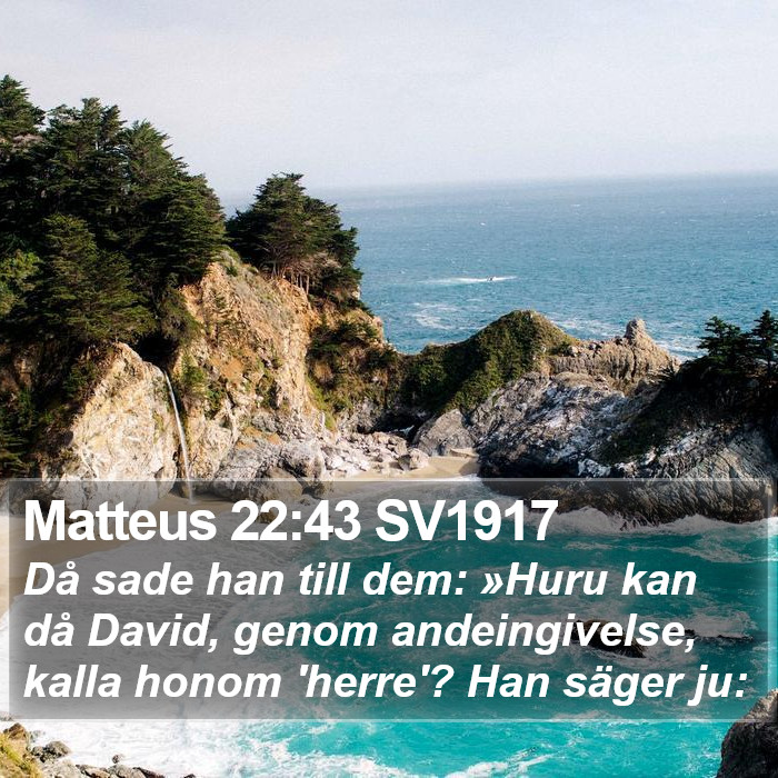 Matteus 22:43 SV1917 Bible Study