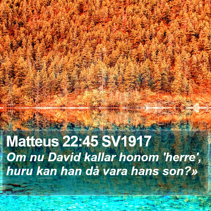 Matteus 22:45 SV1917 Bible Study