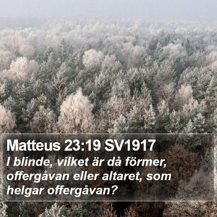 Matteus 23:19 SV1917 Bible Study