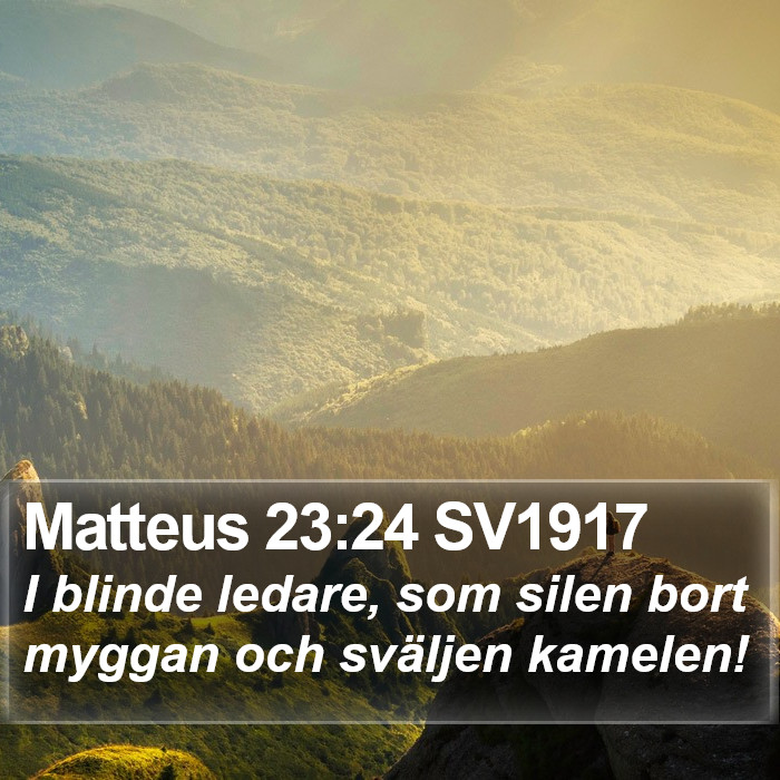 Matteus 23:24 SV1917 Bible Study