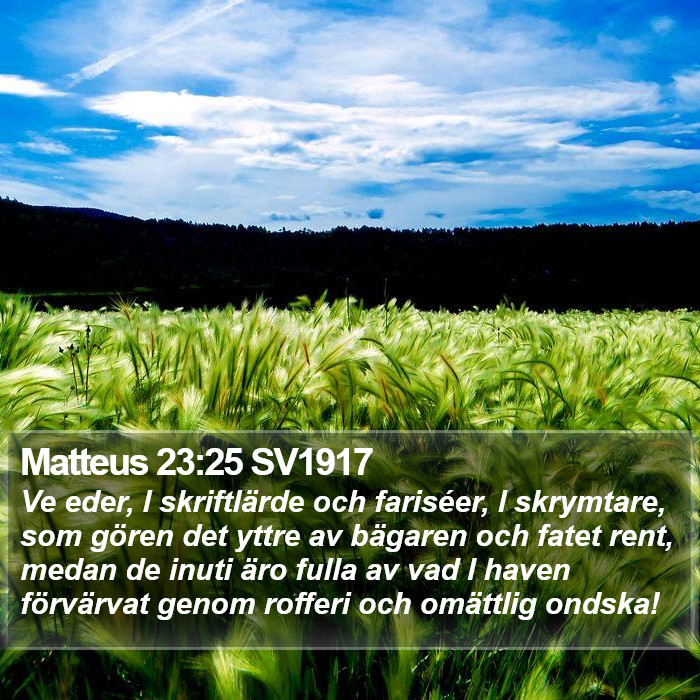 Matteus 23:25 SV1917 Bible Study