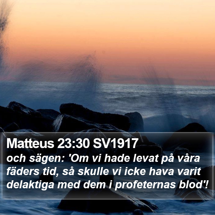 Matteus 23:30 SV1917 Bible Study