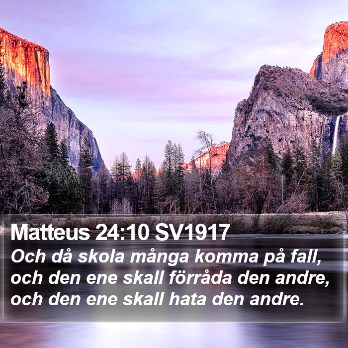 Matteus 24:10 SV1917 Bible Study