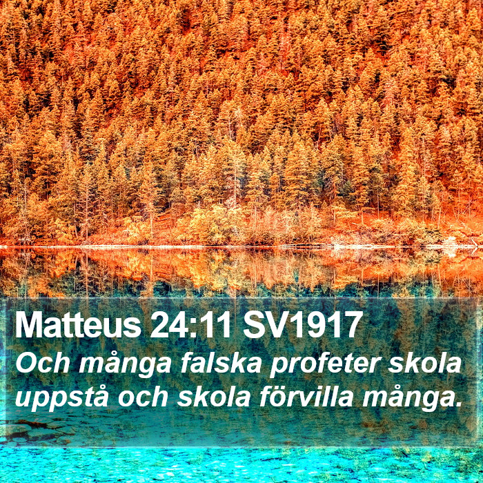 Matteus 24:11 SV1917 Bible Study