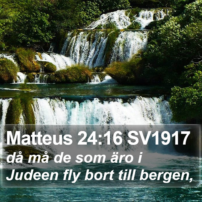 Matteus 24:16 SV1917 Bible Study