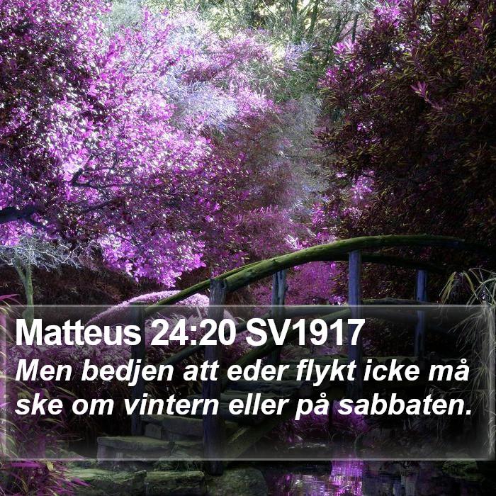 Matteus 24:20 SV1917 Bible Study