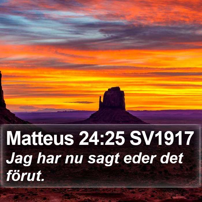 Matteus 24:25 SV1917 Bible Study