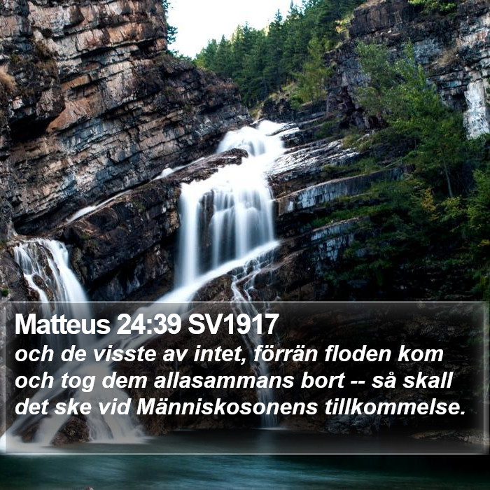 Matteus 24:39 SV1917 Bible Study