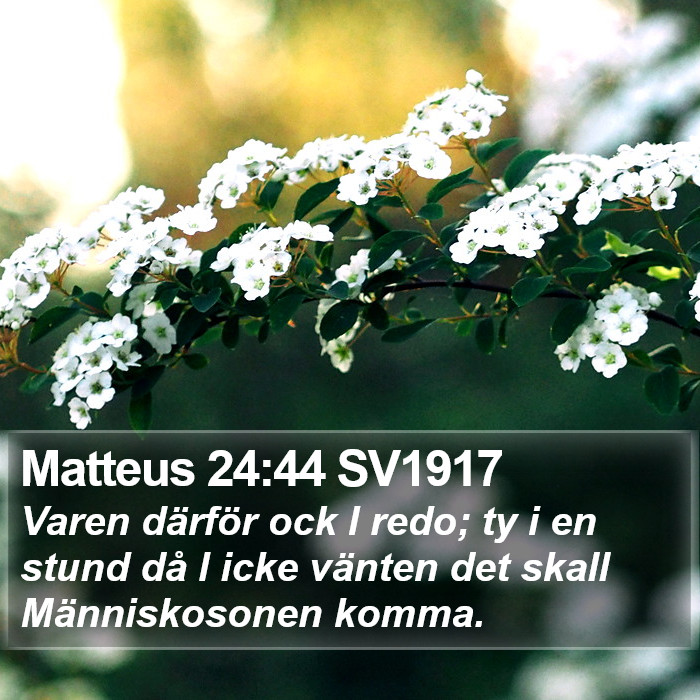 Matteus 24:44 SV1917 Bible Study