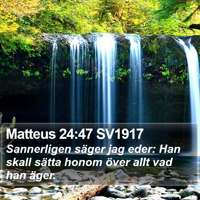 Matteus 24:47 SV1917 Bible Study