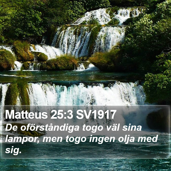 Matteus 25:3 SV1917 Bible Study