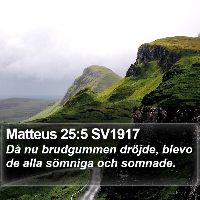 Matteus 25:5 SV1917 Bible Study