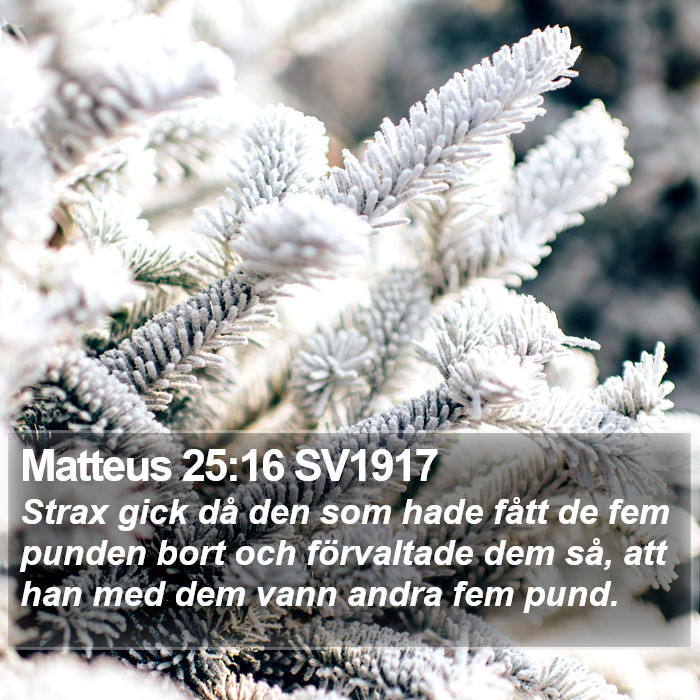 Matteus 25:16 SV1917 Bible Study