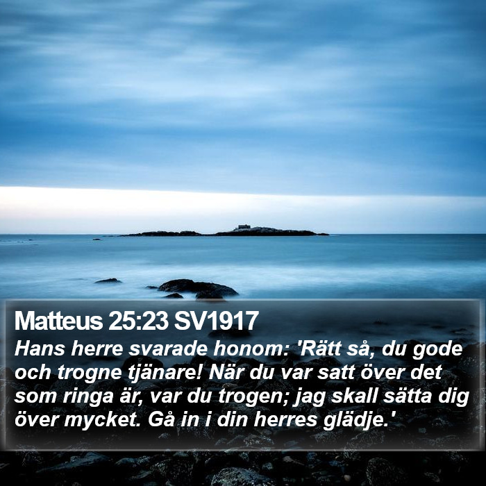 Matteus 25:23 SV1917 Bible Study