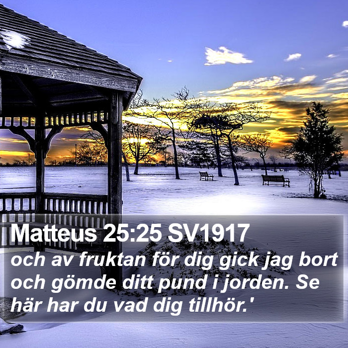 Matteus 25:25 SV1917 Bible Study