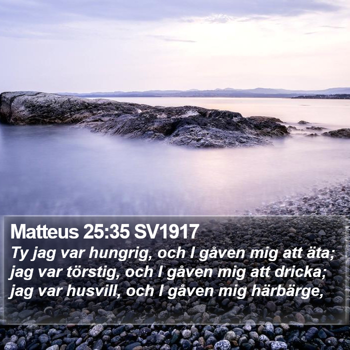 Matteus 25:35 SV1917 Bible Study