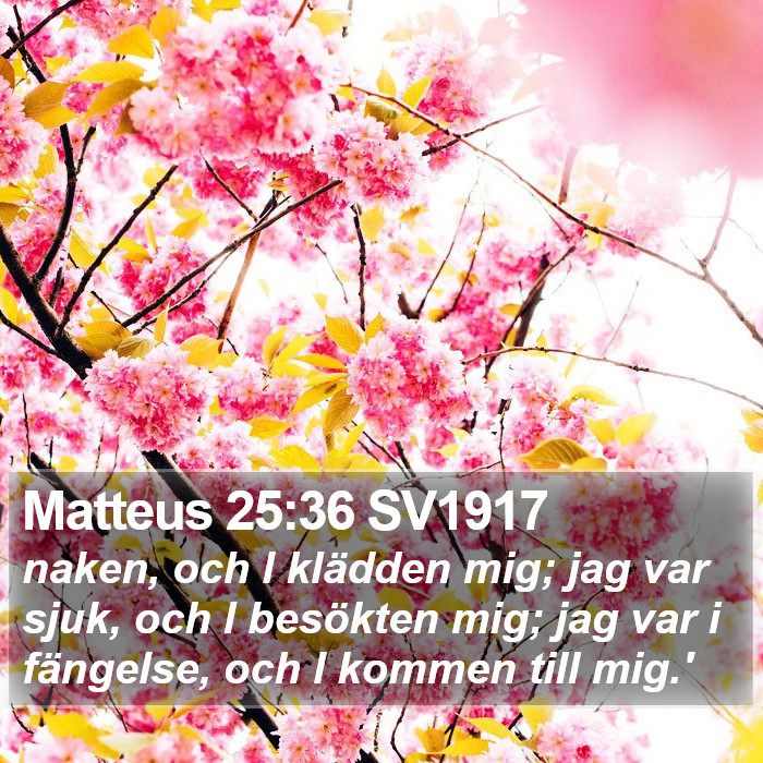 Matteus 25:36 SV1917 Bible Study