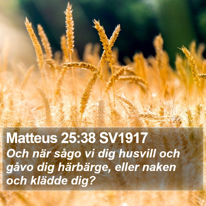 Matteus 25:38 SV1917 Bible Study