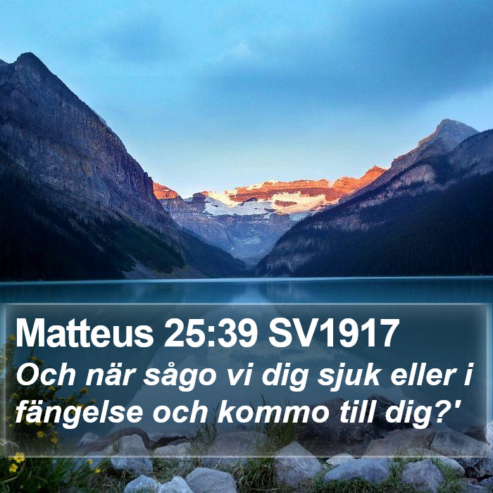 Matteus 25:39 SV1917 Bible Study