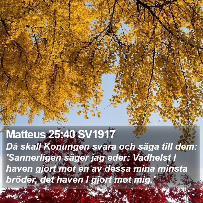 Matteus 25:40 SV1917 Bible Study