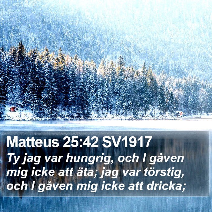 Matteus 25:42 SV1917 Bible Study