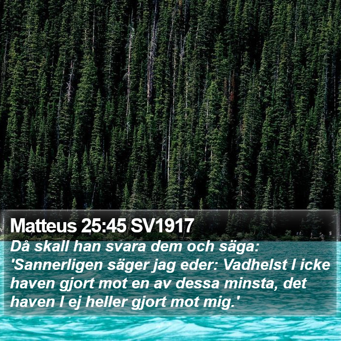 Matteus 25:45 SV1917 Bible Study