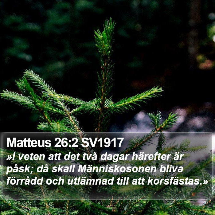 Matteus 26:2 SV1917 Bible Study