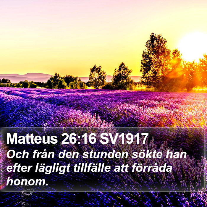 Matteus 26:16 SV1917 Bible Study