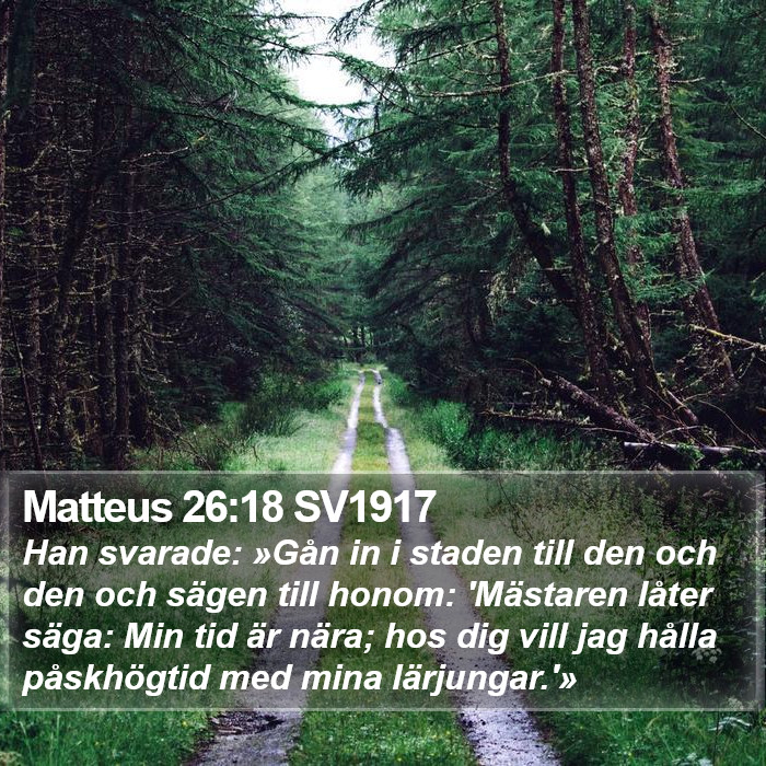 Matteus 26:18 SV1917 Bible Study
