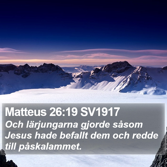 Matteus 26:19 SV1917 Bible Study