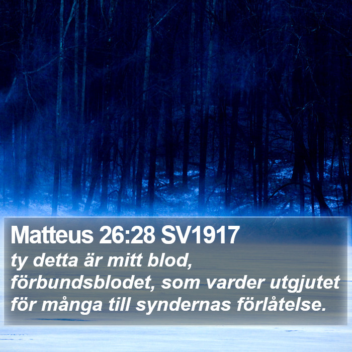 Matteus 26:28 SV1917 Bible Study