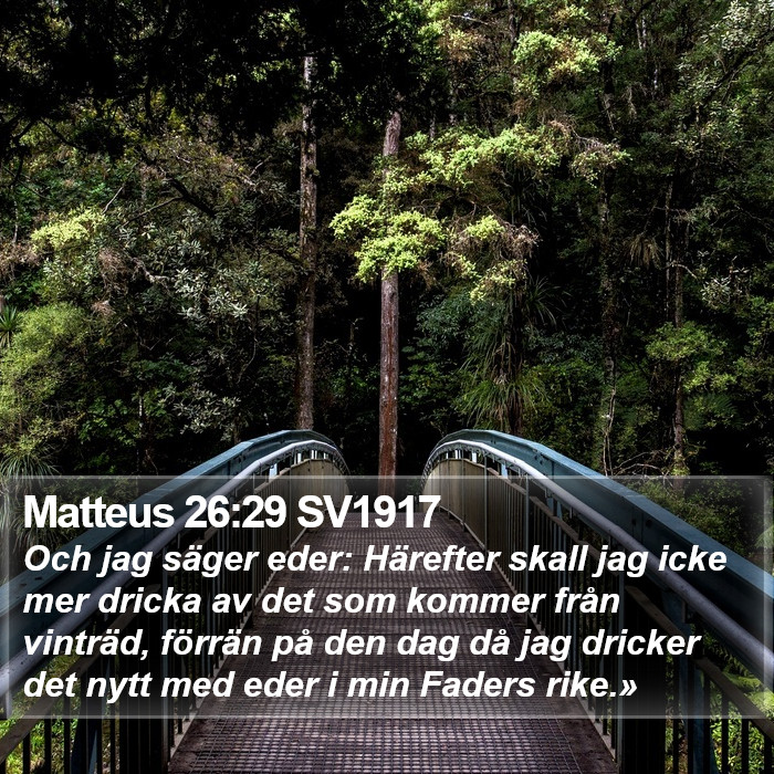 Matteus 26:29 SV1917 Bible Study