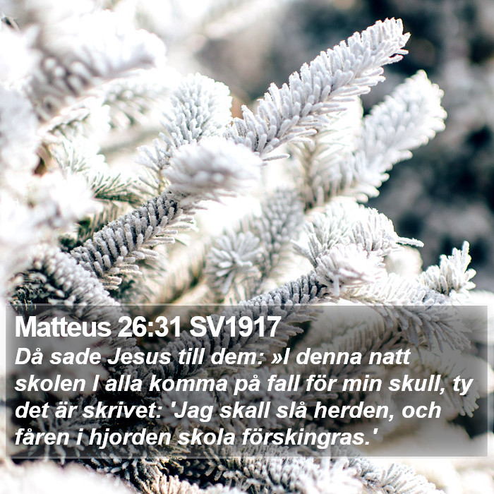 Matteus 26:31 SV1917 Bible Study