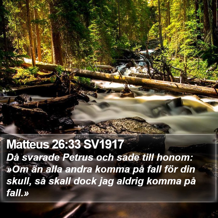 Matteus 26:33 SV1917 Bible Study