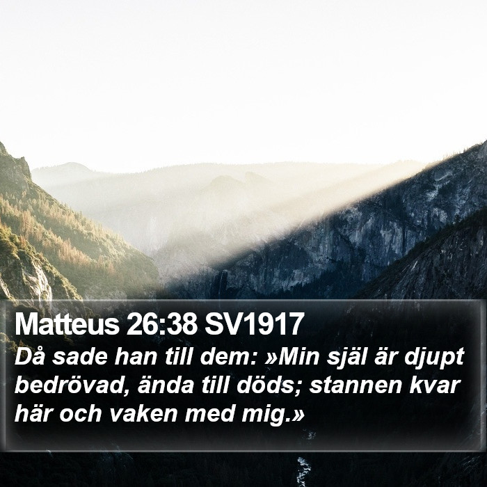 Matteus 26:38 SV1917 Bible Study