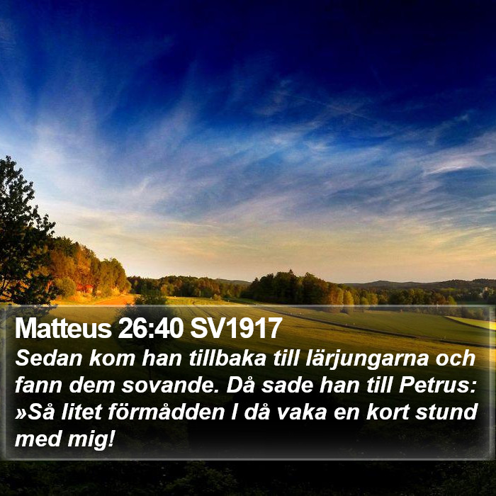 Matteus 26:40 SV1917 Bible Study
