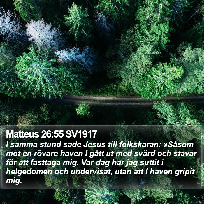 Matteus 26:55 SV1917 Bible Study