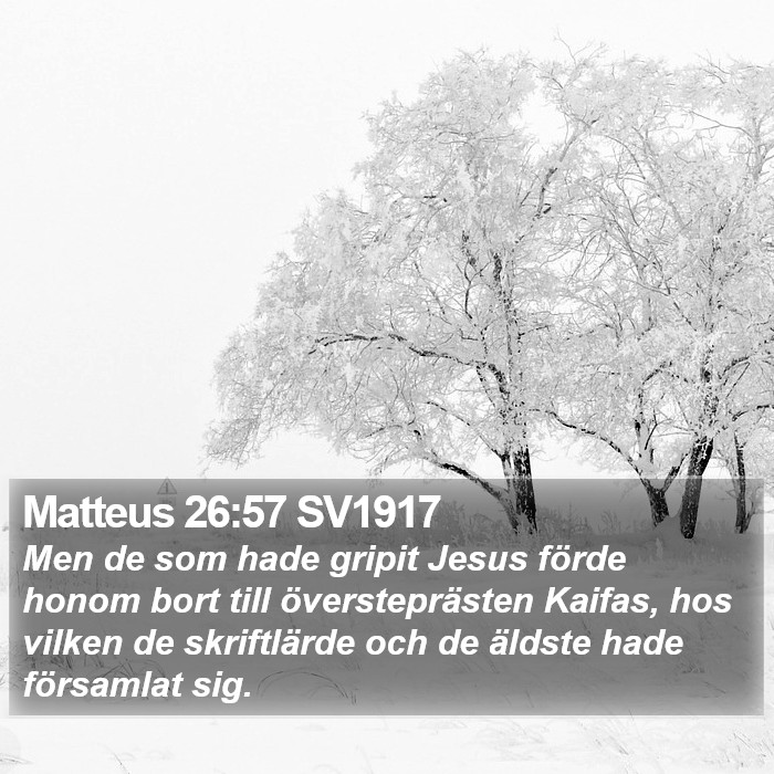Matteus 26:57 SV1917 Bible Study