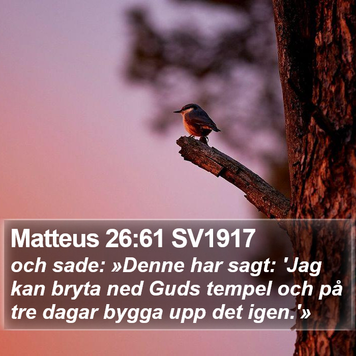 Matteus 26:61 SV1917 Bible Study