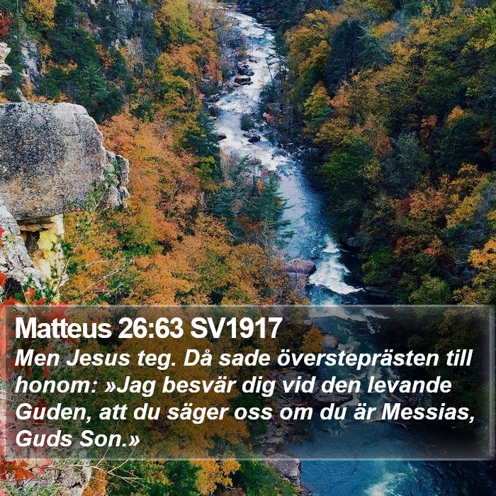 Matteus 26:63 SV1917 Bible Study