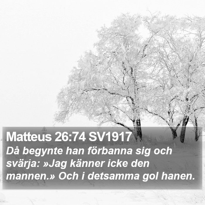 Matteus 26:74 SV1917 Bible Study