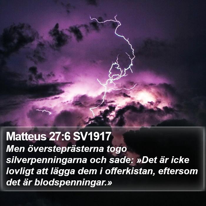 Matteus 27:6 SV1917 Bible Study